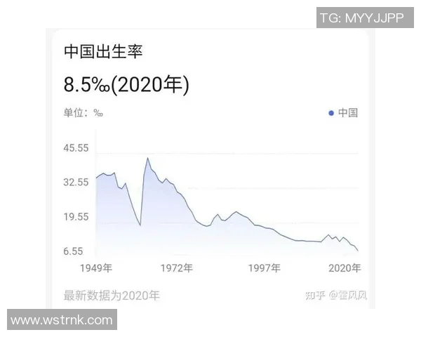 北京排球队实力飙升再创新高引发全国关注与热议