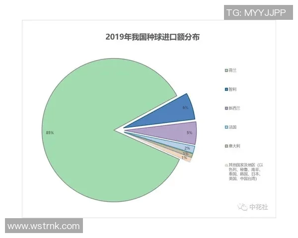 独家分析:杭州足球队近期表现对比及未来发展趋势探讨 独家分析:杭州足球队近期表现对比及未来发展趋势探讨
