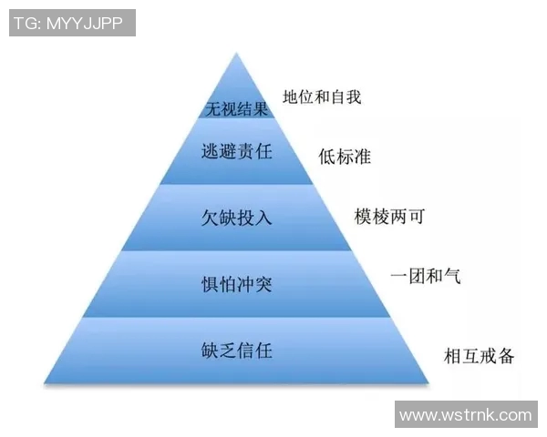 上海排球队的团队协作精神与战术配合探讨 上海排球队的团队协作精神与战术配合探讨