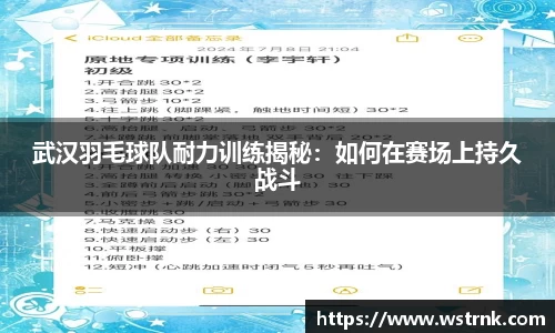 武汉羽毛球队耐力训练揭秘：如何在赛场上持久战斗