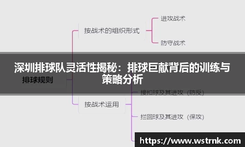 深圳排球队灵活性揭秘：排球巨献背后的训练与策略分析